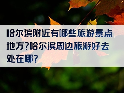 哈尔滨附近有哪些旅游景点地方？哈尔滨周边旅游好去处在哪？