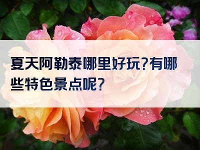 夏天阿勒泰哪里好玩？有哪些特色景点呢？