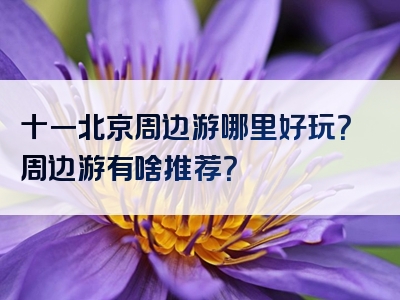 十一北京周边游哪里好玩？周边游有啥推荐？