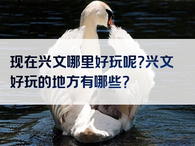 现在兴文哪里好玩呢？兴文好玩的地方有哪些？