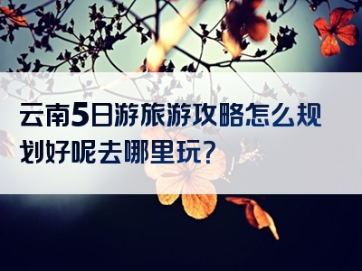 云南5日游旅游攻略怎么规划好呢去哪里玩？