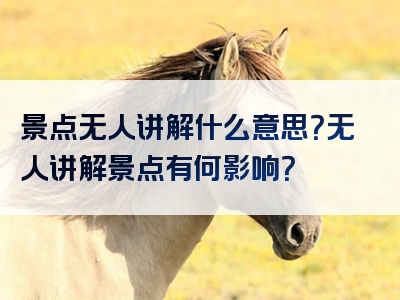 景点无人讲解什么意思？无人讲解景点有何影响？