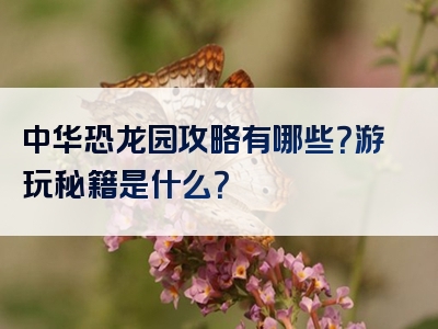 中华恐龙园攻略有哪些？游玩秘籍是什么？