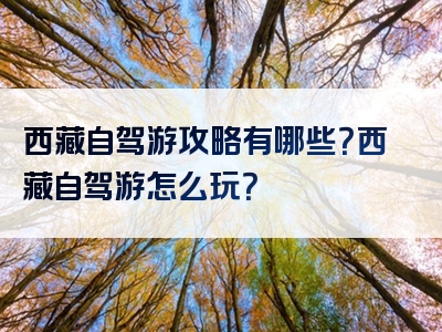 西藏自驾游攻略有哪些？西藏自驾游怎么玩？