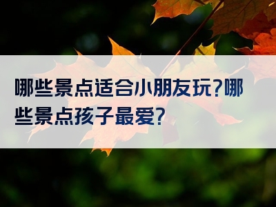 哪些景点适合小朋友玩？哪些景点孩子最爱？