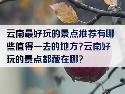 云南最好玩的景点推荐有哪些值得一去的地方？云南好玩的景点都藏在哪？