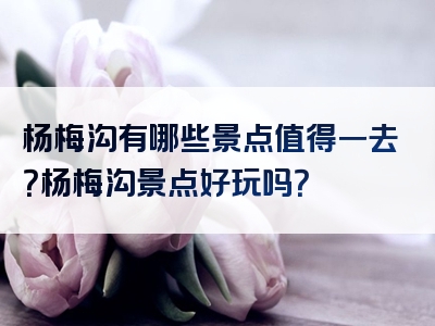 杨梅沟有哪些景点值得一去？杨梅沟景点好玩吗？