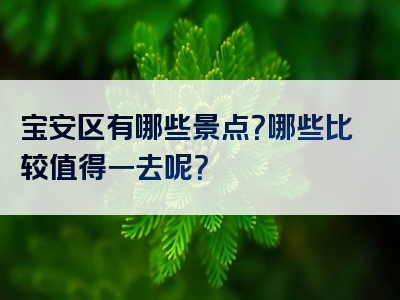 宝安区有哪些景点？哪些比较值得一去呢？