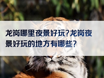 龙岗哪里夜景好玩？龙岗夜景好玩的地方有哪些？