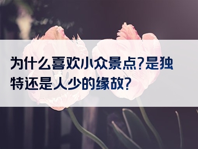 为什么喜欢小众景点？是独特还是人少的缘故？