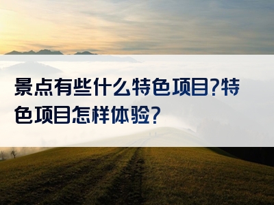 景点有些什么特色项目？特色项目怎样体验？