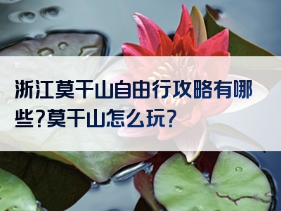 浙江莫干山自由行攻略有哪些？莫干山怎么玩？