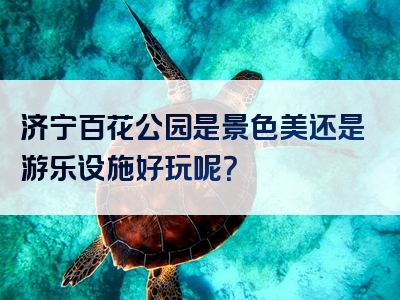 济宁百花公园是景色美还是游乐设施好玩呢？