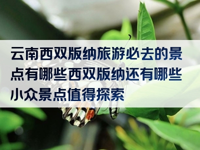 云南西双版纳旅游必去的景点有哪些西双版纳还有哪些小众景点值得探索