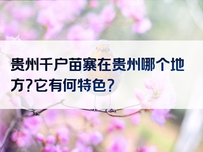 贵州千户苗寨在贵州哪个地方？它有何特色？