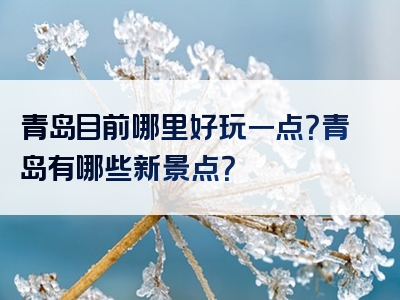 青岛目前哪里好玩一点？青岛有哪些新景点？