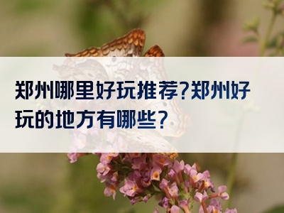 郑州哪里好玩推荐？郑州好玩的地方有哪些？