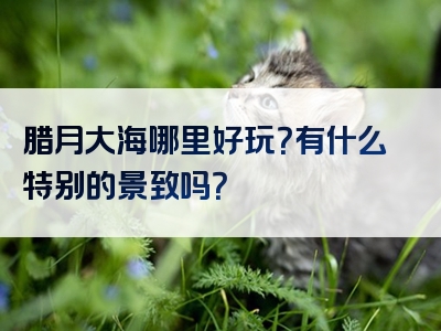 腊月大海哪里好玩？有什么特别的景致吗？
