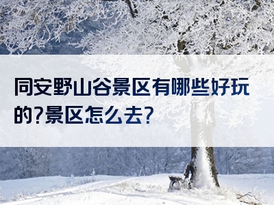 同安野山谷景区有哪些好玩的？景区怎么去？