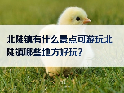北陡镇有什么景点可游玩北陡镇哪些地方好玩？