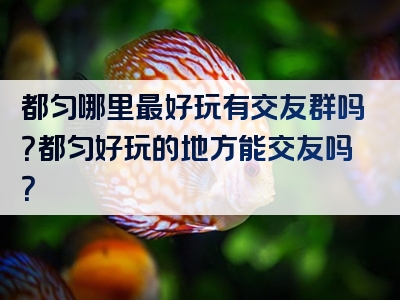 都匀哪里最好玩有交友群吗？都匀好玩的地方能交友吗？