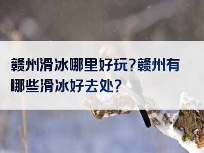 赣州滑冰哪里好玩？赣州有哪些滑冰好去处？