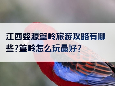 江西婺源篁岭旅游攻略有哪些？篁岭怎么玩最好？
