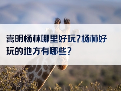 嵩明杨林哪里好玩？杨林好玩的地方有哪些？