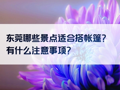 东莞哪些景点适合搭帐篷？有什么注意事项？
