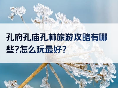 孔府孔庙孔林旅游攻略有哪些？怎么玩最好？