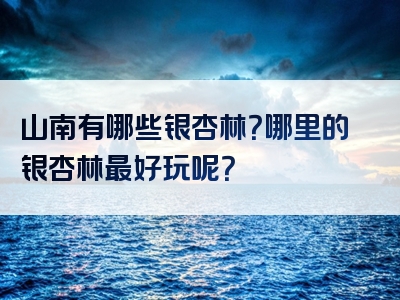 山南有哪些银杏林？哪里的银杏林最好玩呢？