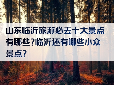 山东临沂旅游必去十大景点有哪些？临沂还有哪些小众景点？