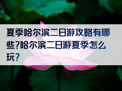夏季哈尔滨二日游攻略有哪些？哈尔滨二日游夏季怎么玩？