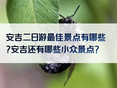 安吉二日游最佳景点有哪些？安吉还有哪些小众景点？