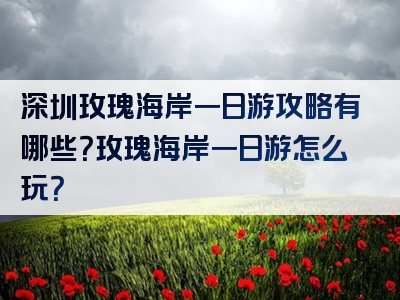 深圳玫瑰海岸一日游攻略有哪些？玫瑰海岸一日游怎么玩？