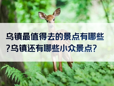 乌镇最值得去的景点有哪些？乌镇还有哪些小众景点？