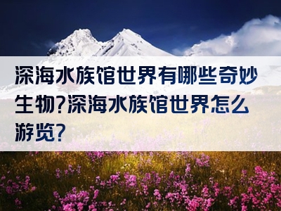深海水族馆世界有哪些奇妙生物？深海水族馆世界怎么游览？
