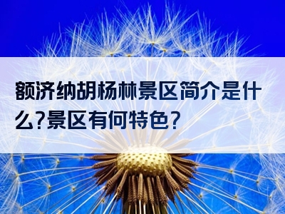 额济纳胡杨林景区简介是什么？景区有何特色？