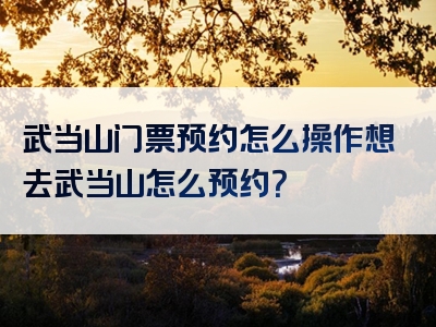 武当山门票预约怎么操作想去武当山怎么预约？