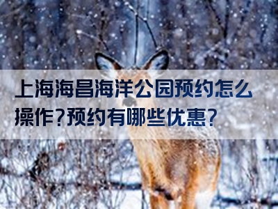 上海海昌海洋公园预约怎么操作？预约有哪些优惠？
