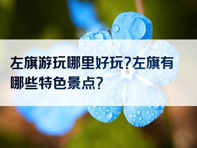 左旗游玩哪里好玩？左旗有哪些特色景点？