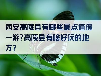 西安高陵县有哪些景点值得一游？高陵县有啥好玩的地方？