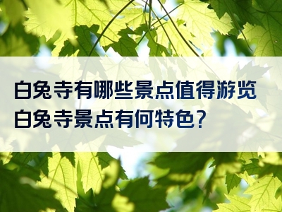 白兔寺有哪些景点值得游览白兔寺景点有何特色？