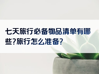 七天旅行必备物品清单有哪些？旅行怎么准备？