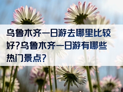 乌鲁木齐一日游去哪里比较好？乌鲁木齐一日游有哪些热门景点？