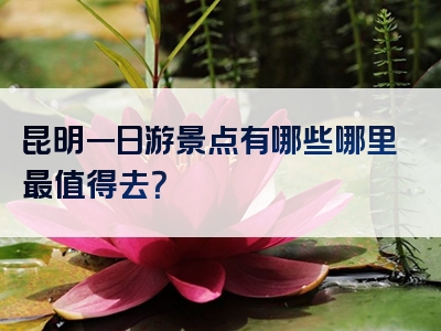 昆明一日游景点有哪些哪里最值得去？