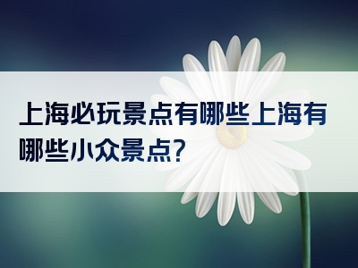上海必玩景点有哪些上海有哪些小众景点？