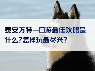 泰安方特一日游最佳攻略是什么？怎样玩最尽兴？