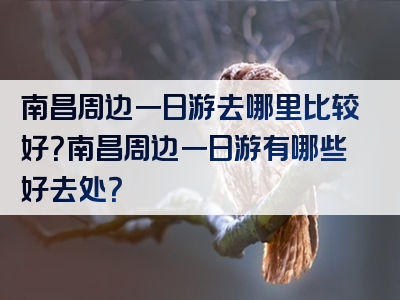 南昌周边一日游去哪里比较好？南昌周边一日游有哪些好去处？