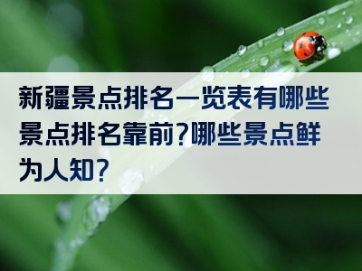 新疆景点排名一览表有哪些景点排名靠前？哪些景点鲜为人知？